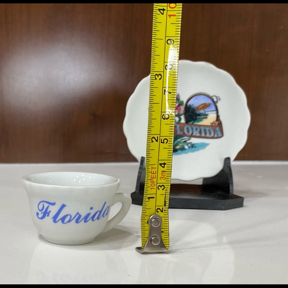 Tea Cup & Mini Plate VTG Florida souvenir NWOT in box.